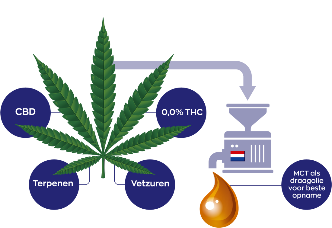 CBD olie full spectrum - Afbeelding 6