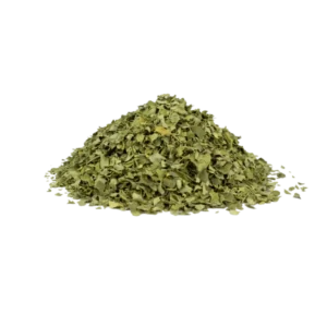 Moringa Bladeren