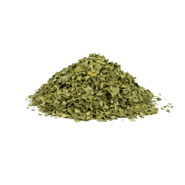 Moringa Bladeren